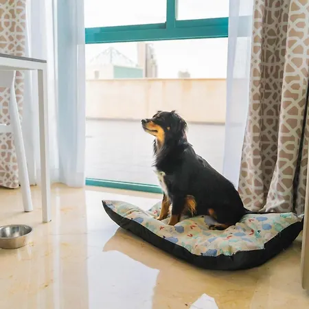 Magic Atrium Lejlighed *