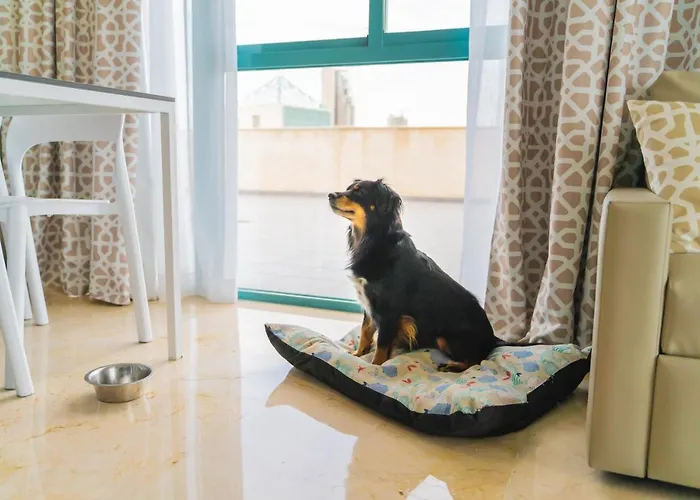 Magic Atrium Daire *